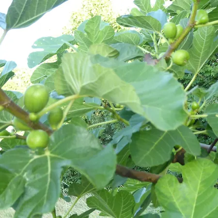 Hohe Flum Отель 3*