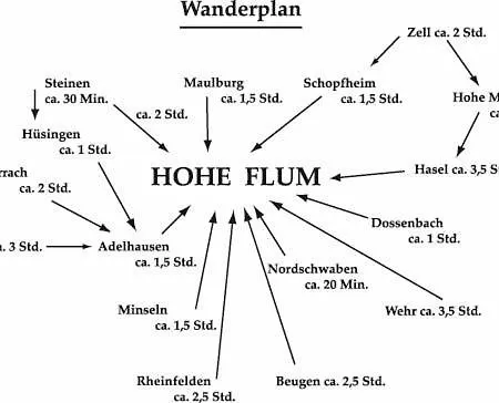 Отель Hohe Flum Шопфхайм