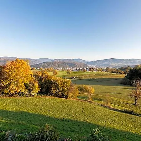 Hotel Hohe Flum 3*