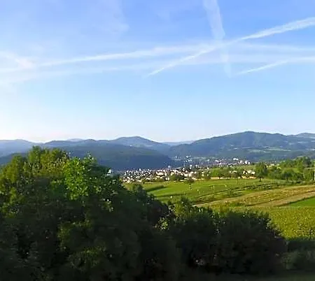 Hohe Flum Schopfheim