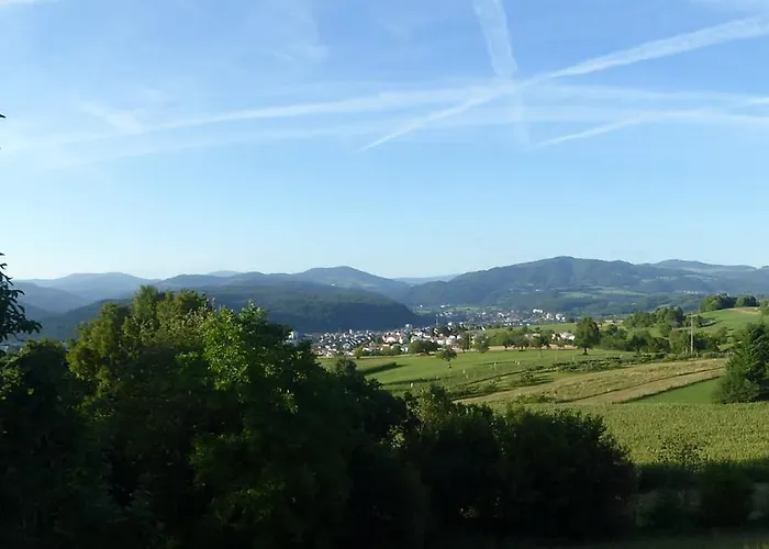 Отель Hohe Flum