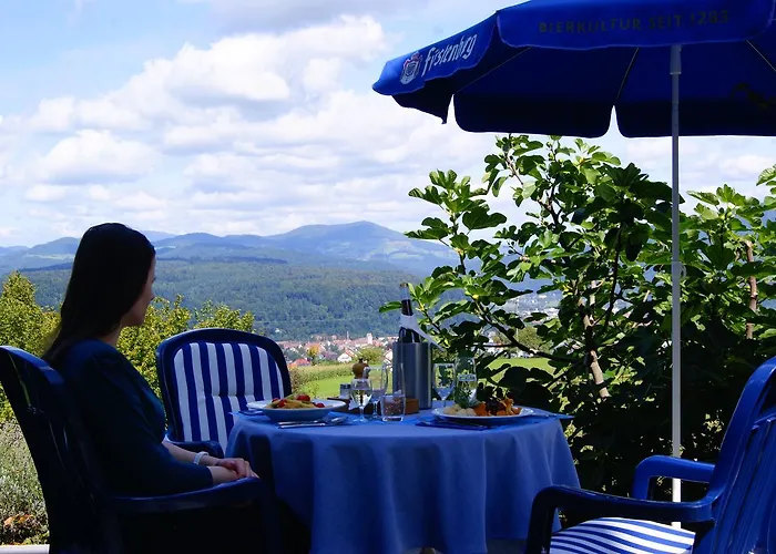 Отель Hohe Flum 3*