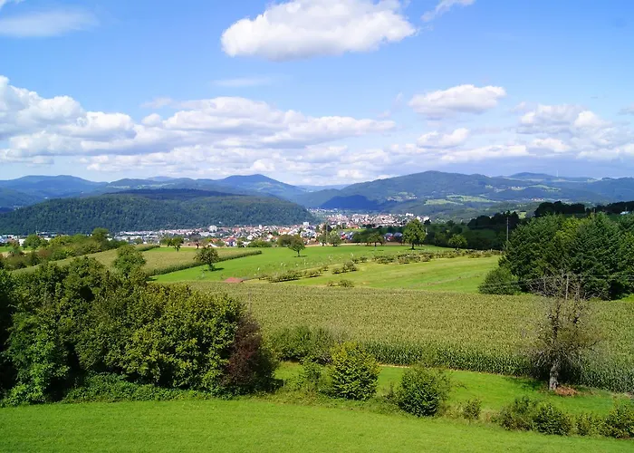 Отель Hohe Flum Шопфхайм