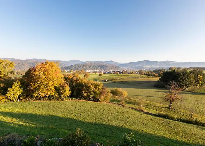 Hohe Flum 3* Шопфхайм